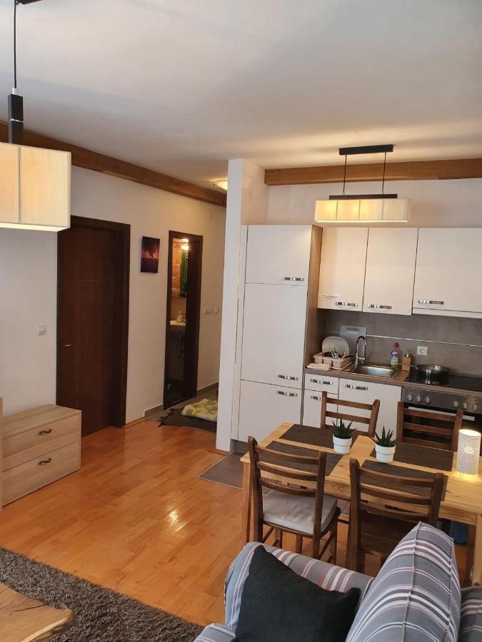 Apartments Foka & Spa - 600M From Gondola Ski Lift Kopaonik Eksteriør bilde