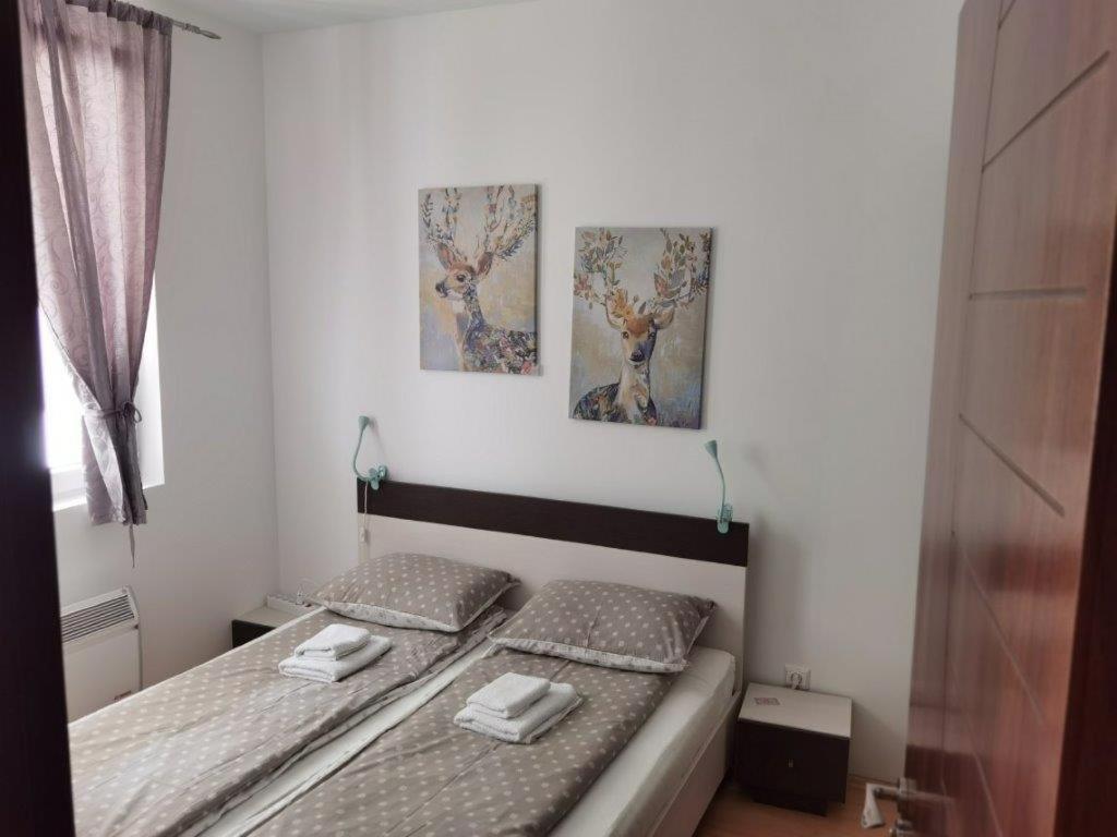 Apartments Foka & Spa - 600M From Gondola Ski Lift Kopaonik Eksteriør bilde