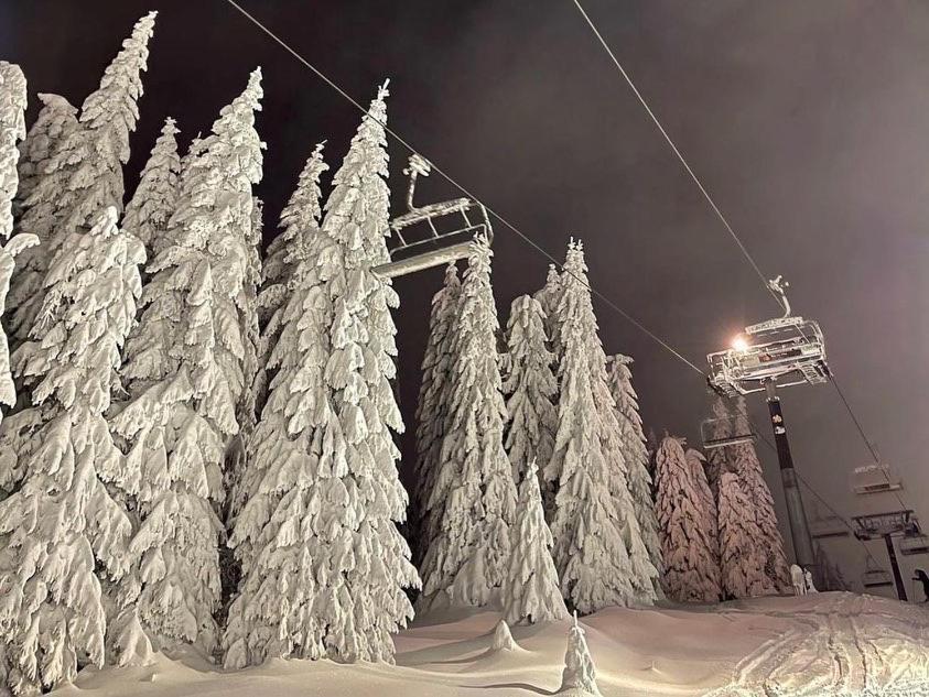Apartments Foka & Spa - 600M From Gondola Ski Lift Kopaonik Eksteriør bilde