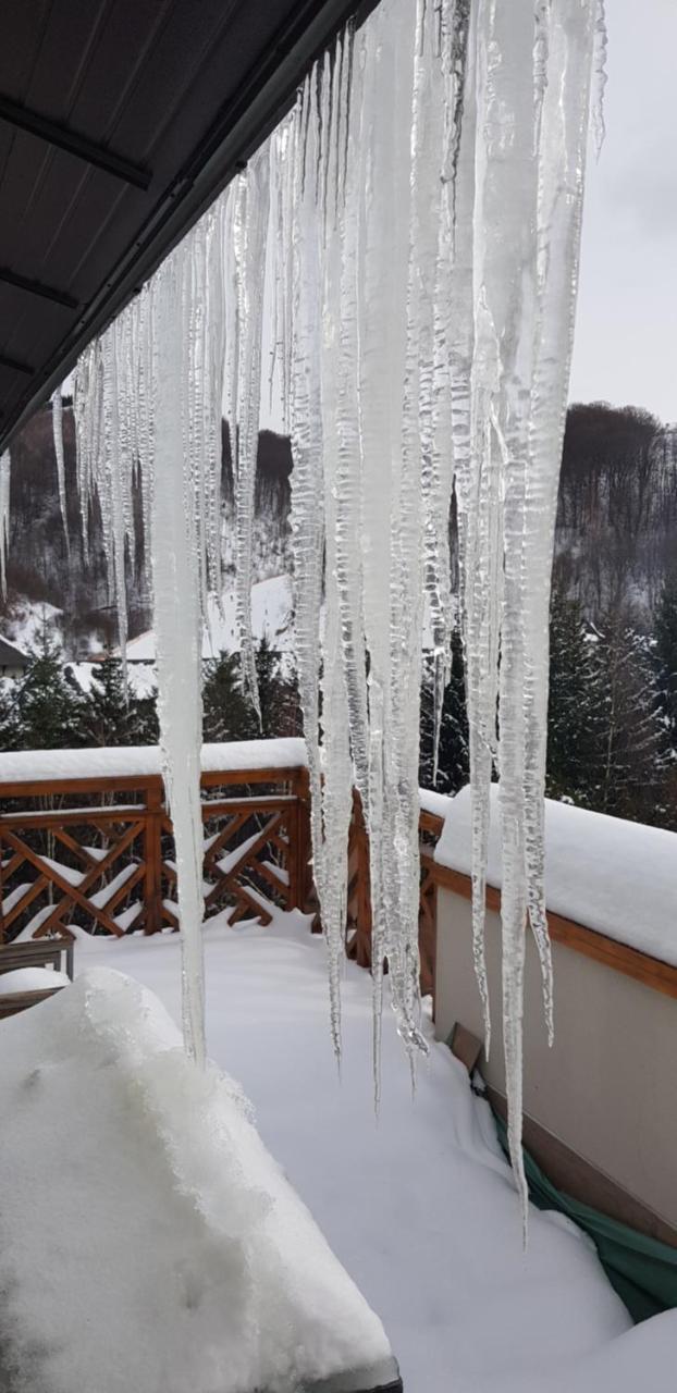 Apartments Foka & Spa - 600M From Gondola Ski Lift Kopaonik Eksteriør bilde